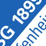 TSG 1899 Hoffenheim Live Stream kostenlos und legal anschauen