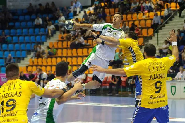 Handball Bundesliga im Live Stream online gucken