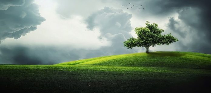 Was ist eine Synästhesie - Beispiele, Wirkung & Erklärung Was ist eine Synästhesie? - Beispiele, Wirkung & Erklärung