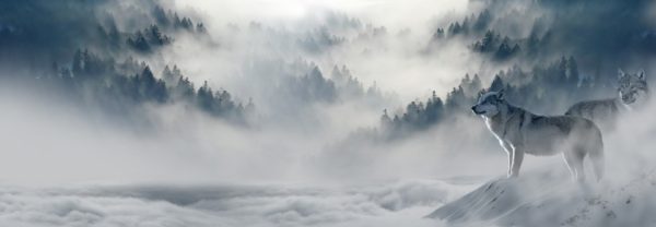 Mondnacht Joseph Von Eichendorff Analyse Gedichtanalyse „Mondnacht“ von Joseph Eichendorff