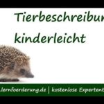 Die perfekte Tierbeschreibung schreiben - 5 Klasse Deutsch + Beispiele