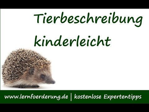 Die perfekte Tierbeschreibung schreiben - 5 Klasse Deutsch + Beispiele