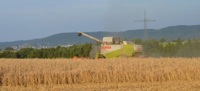 Wie groß ist 1 Hektar Land Wie groß ist 1 Hektar Land