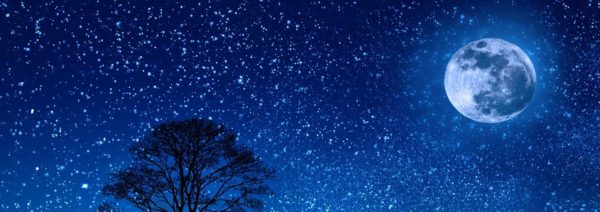 Gedichtanalyse Auf Der Terrasse Des Café Josty Auf der Terrasse des Café Josty - Beispiel Gedichtanalyse/Interpretation