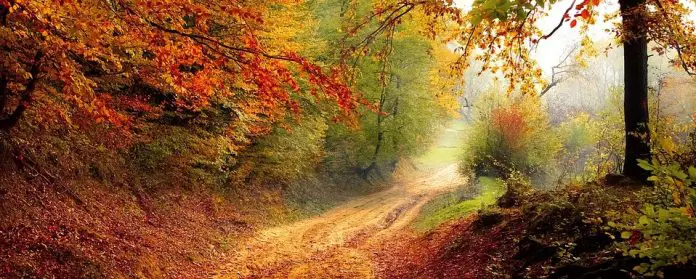 Realismus & Naturalismus - was ist der Unterschied Realismus & Naturalismus - was ist der Unterschied