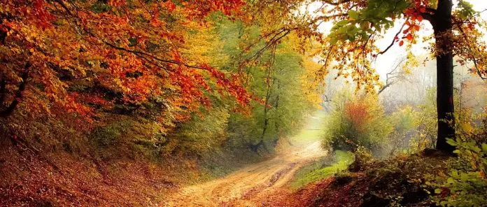 Detlev von Liliencron- Herbst – Interpretationsansatz-2 Detlev von Liliencron: Herbst – Interpretationsansatz