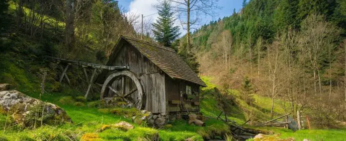 Was sind Waldschneisen Was sind Waldschneisen