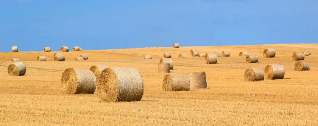 Gewicht von Heuballen berechnen Gewicht von Heuballen berechnen