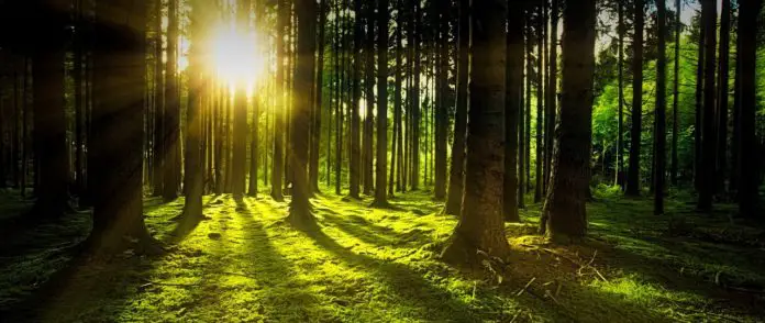 Was sind natürliche Lichtquellen Was sind natürliche Lichtquellen