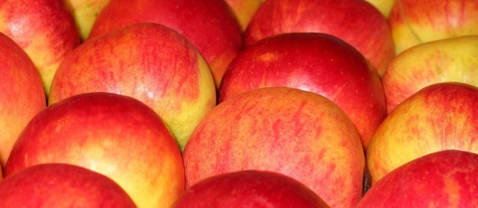 Was ist ein Tafelapfel & was ist der Unterschied Was ist ein Tafelapfel & was ist der Unterschied