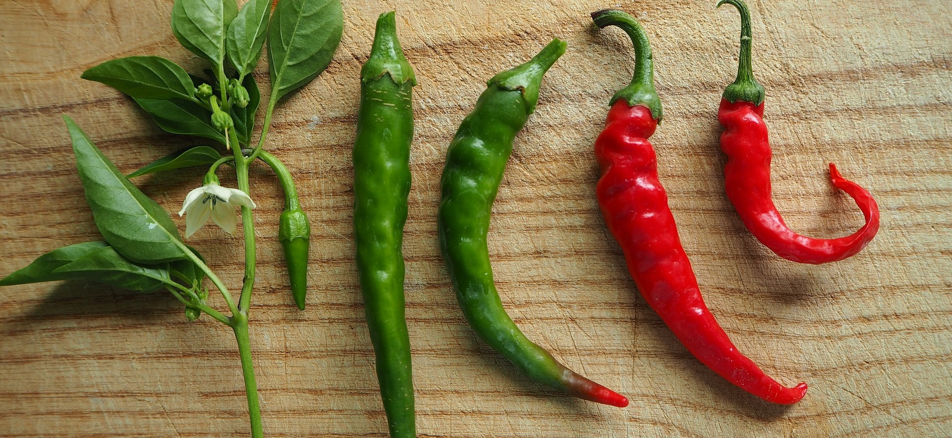 Grüne oder rote Chili - welche ist schärfer Grüne oder rote Chili - welche ist schärfer