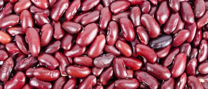 Kann man Kidneybohnen direkt aus der Dose essen-2 Kann man Kidneybohnen direkt aus der Dose essen