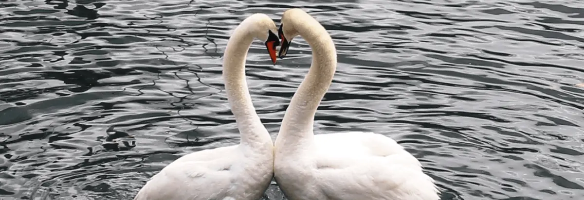 Als Sie Einander Acht Jahre Kannten "Sachliche Romanze" - Beispiel Gedichtanalyse/Interpretation